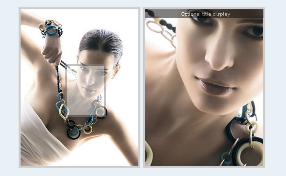 Various jquery picture magnifying glass effects