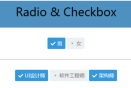 radio & checkbox