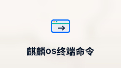 麒麟os终端命令