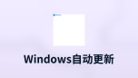 windows自动更新