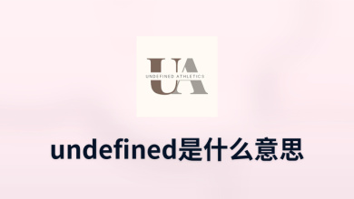 undefined是什么意思