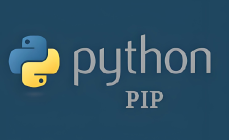 pip