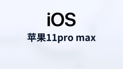 苹果11pro max