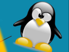 linux脚本