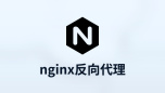 nginx反向代理