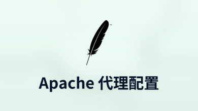apache 代理配置