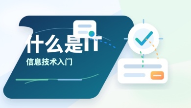 什么是it