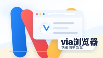 via浏览器