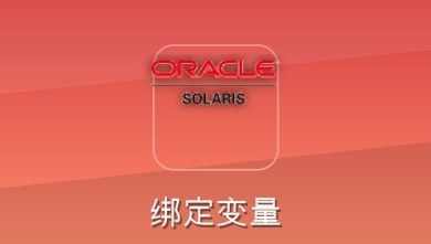 绑定变量