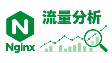 nginx 流量分析