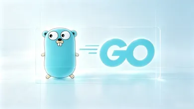 go语言日志中间件