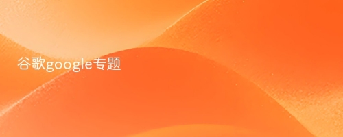 谷歌google