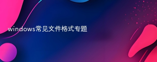 windows常见文件格式