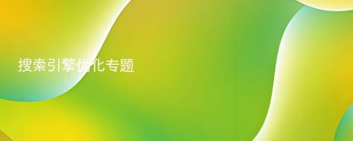 搜索引擎优化