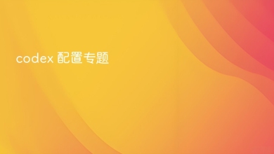 codex 配置