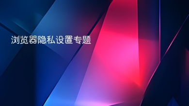 浏览器隐私设置