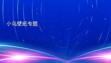 小鸟壁纸