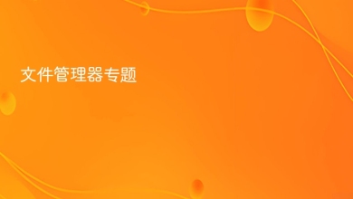 文件管理器