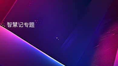 智慧记
