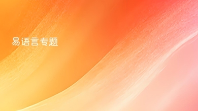 易语言