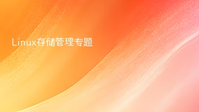 linux存储管理
