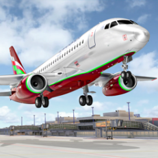 ‎Passenger Plane Flight Simulation