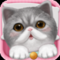 ‎心动小猫