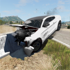 自動車事故コンピレーションゲーム
