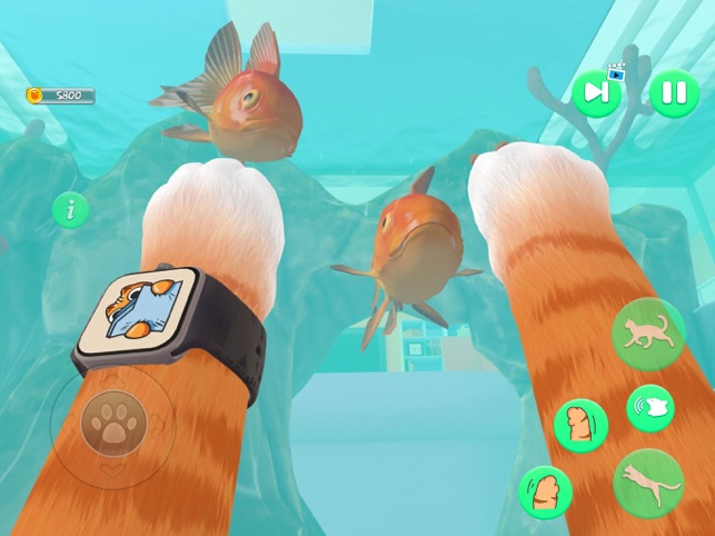 ?I Am a Cat vs Granny Sim POV相關截圖
