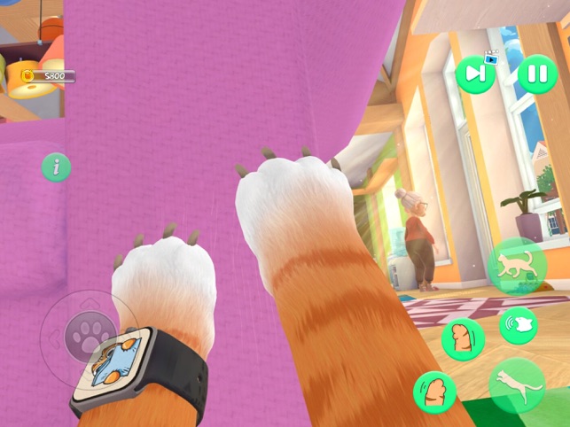 ?I Am a Cat vs Granny Sim POV相關截圖