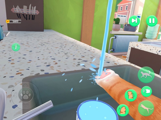 ?I Am a Cat vs Granny Sim POV相關截圖