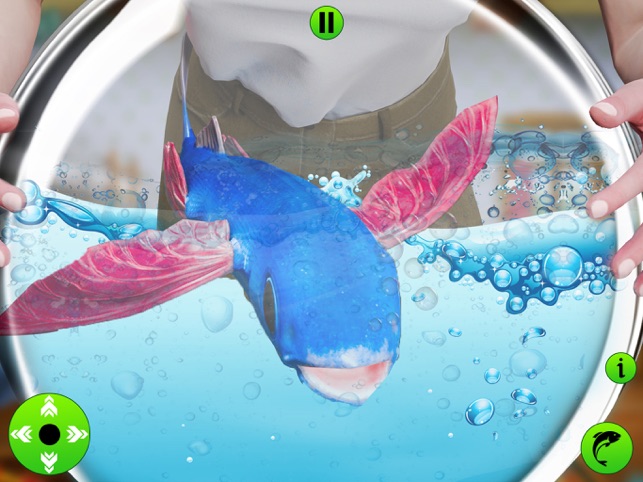 ?飛魚(yú)逃脫游戲相關(guān)截圖