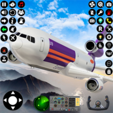 ‎Flight Simulator