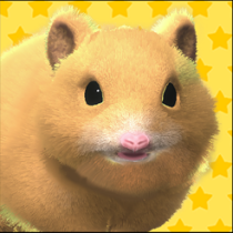 ‎Play with your hamster