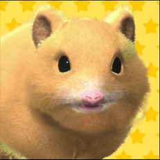 ‎Play with your hamster