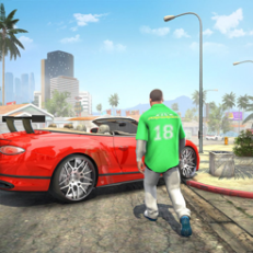 自動車運転シミュレーター: OWRC