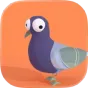 Pigeon Pooo App