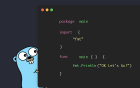 Golang 生态工具与框架:扩展开发能力