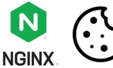 Nginx跨平台安装实操指南：Windows、macOS与Linux环境快速搭建