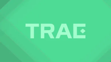Trae 模型配置与AI编程生态专题