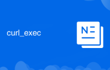 curl_exec
