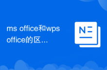 ms office和wps office的区别