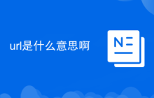 url是什么意思啊