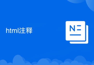 html注释