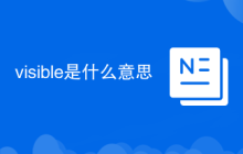 visible是什么意思