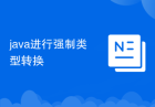 java进行强制类型转换