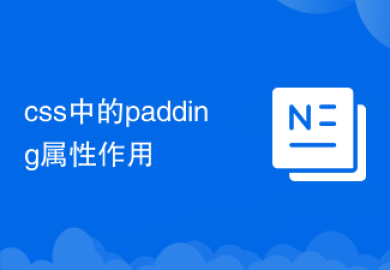 css中的padding属性作用