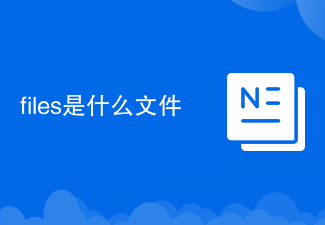 files是什么文件