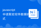 javascript中读取宏控件数据的方式