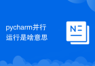 pycharm并行运行是啥意思